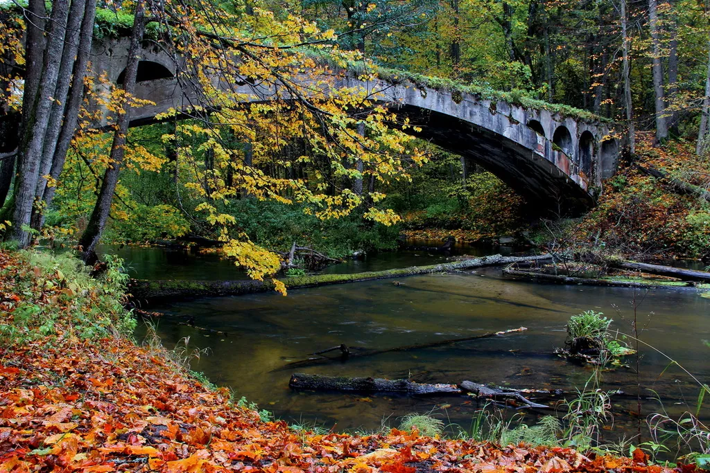 Лесное Шале