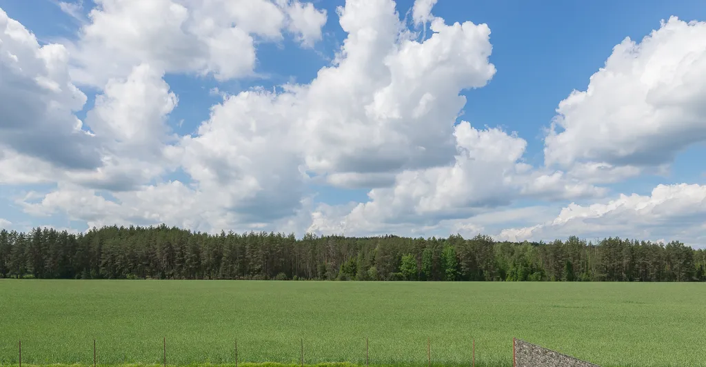 Домик в Белорусской Швейцарии