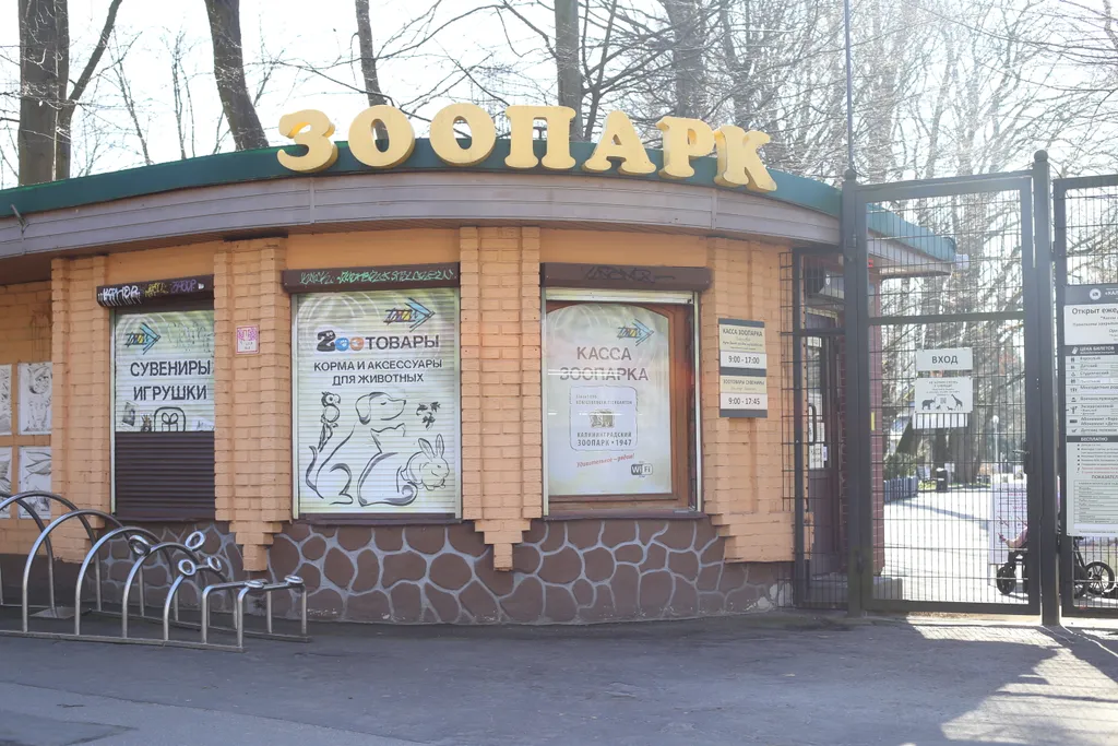 Квартира Апартаменты "Айвазовский" - оранжевое настроение в самом центре города — Калининград