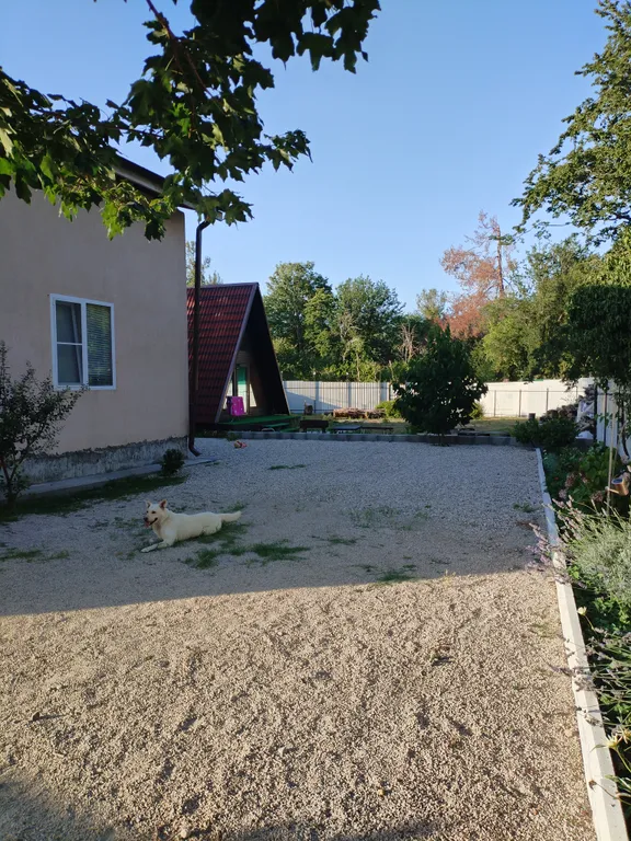 Коттедж в заповеднике — аренда посуточно в Пицунда