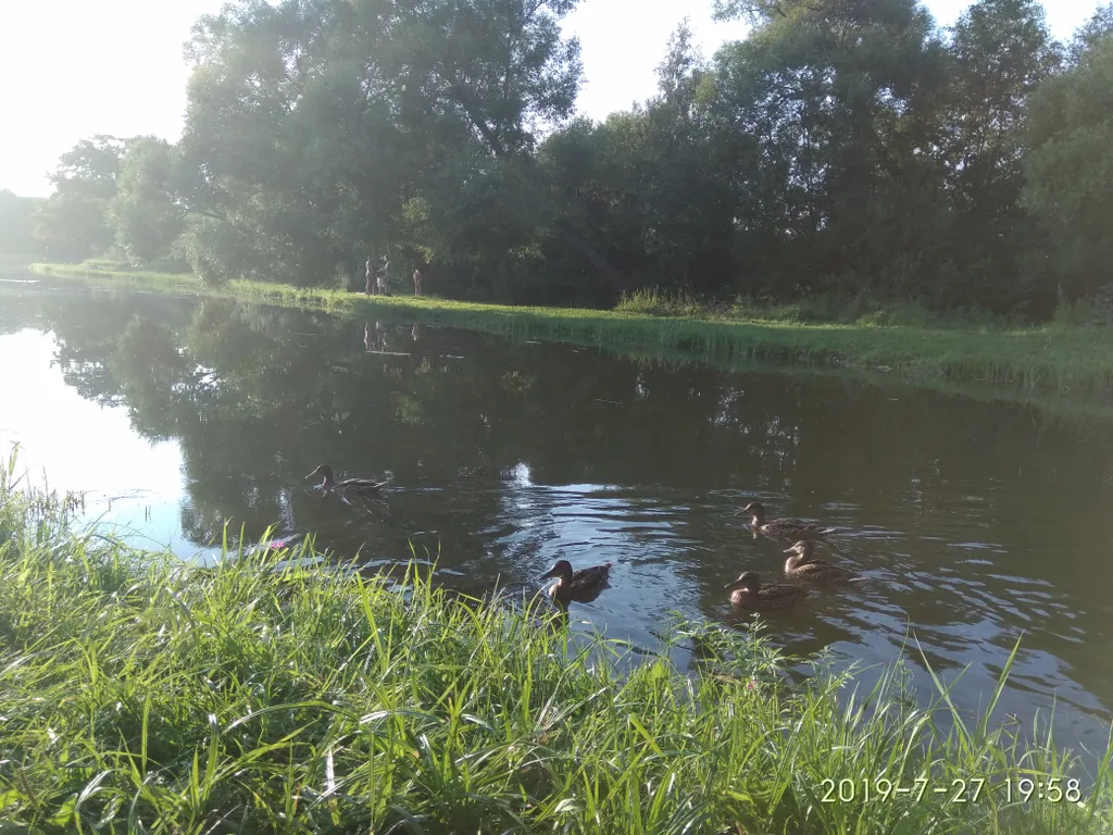 Уютная студия в Петродворцовом районе Санкт-Петербурга в Петергоф