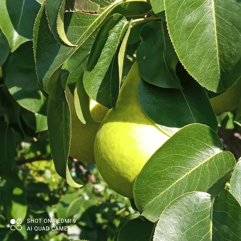 Дом с видом на реку