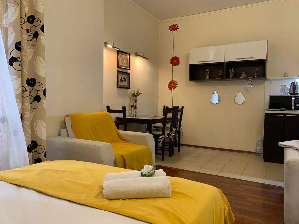 Уютная студия в центре города