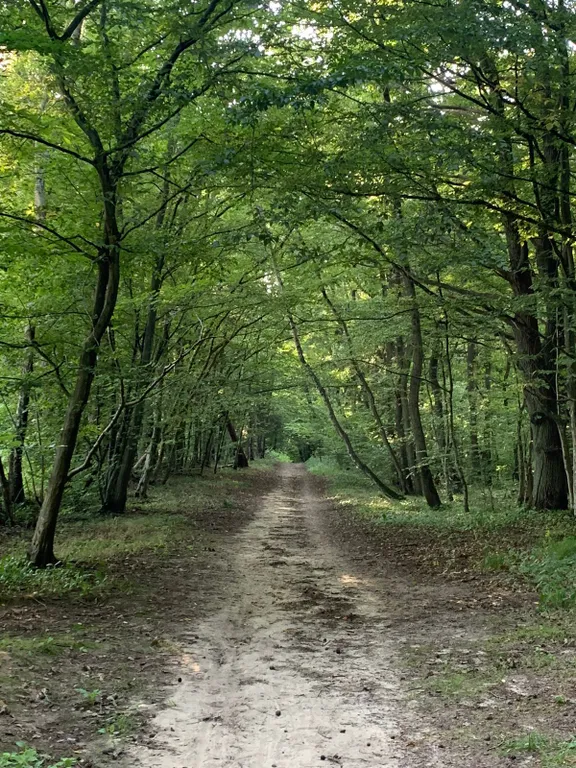 Апартаменты в Светлогорске