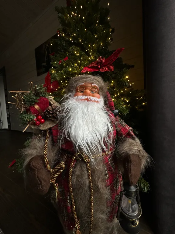 Дом на семью или компанию в лесу у большой воды