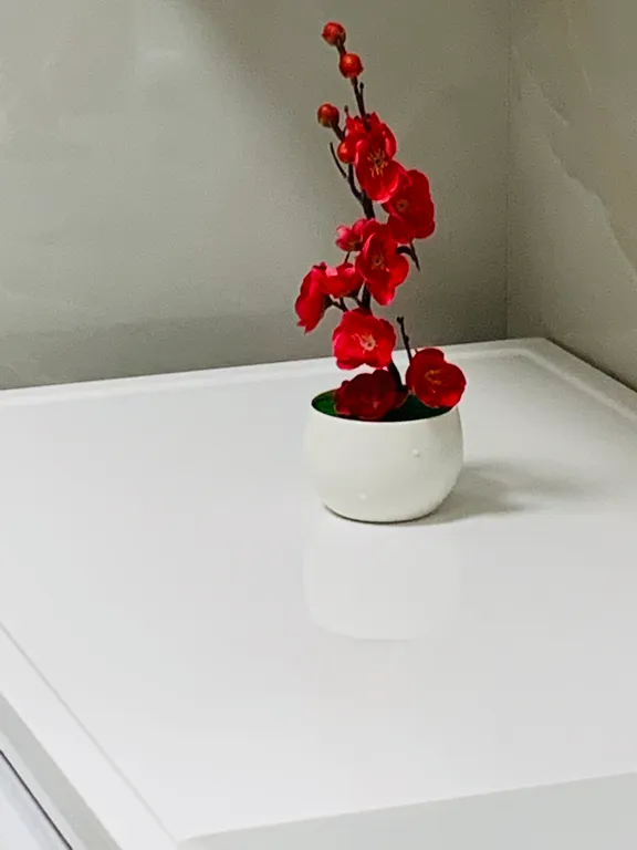 Квартира класса люкс