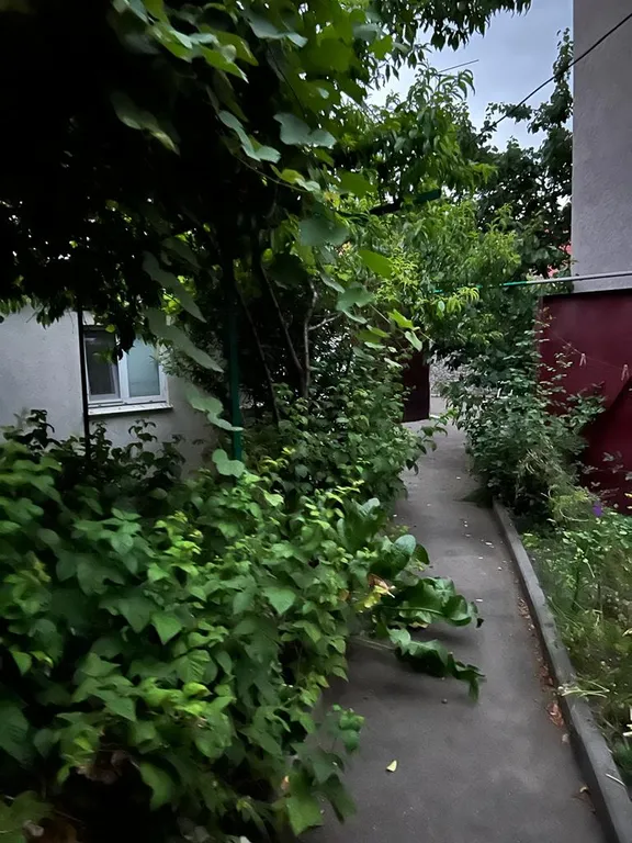 Уютный домик недалеко от парка