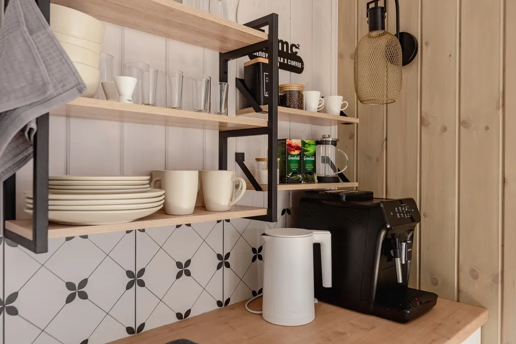 Skandi Белка загородный дом у пруда в подмосковье