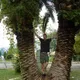 Артем