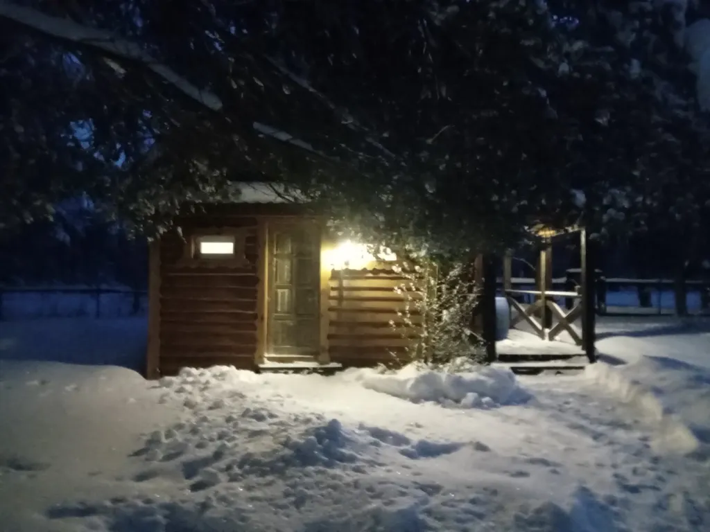 Дом на большом лесном участке