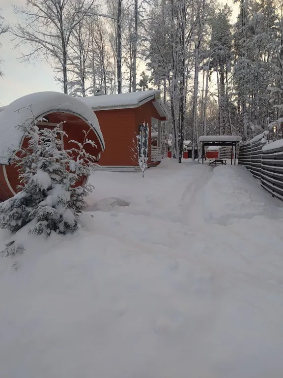 Коттедж Коттедж у леса — Снегиревка