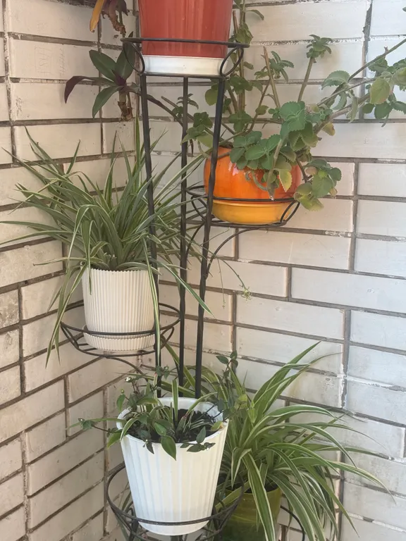 Одноместная студия