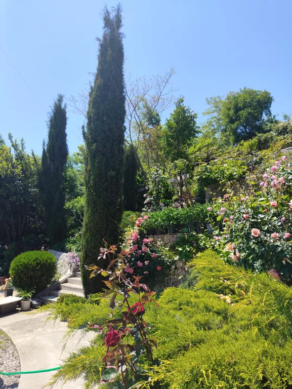 Уютный двухкомнатный домик в райском саду с видом на море