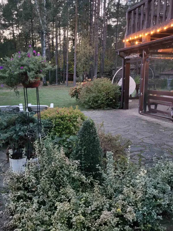 Уютный дом с прекрасным видом на лес