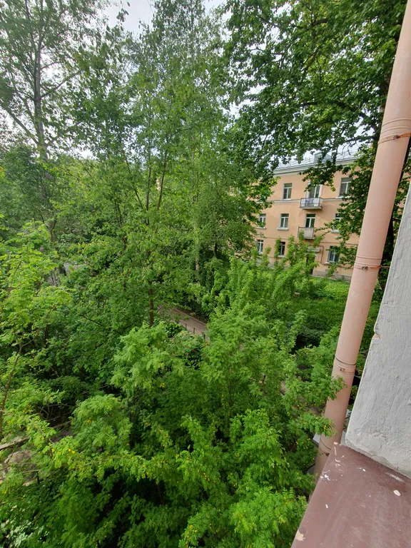 Квартира Уютная, тихая квартира рядом с центром, до Московского вокзала 4 км — Санкт-Петербург