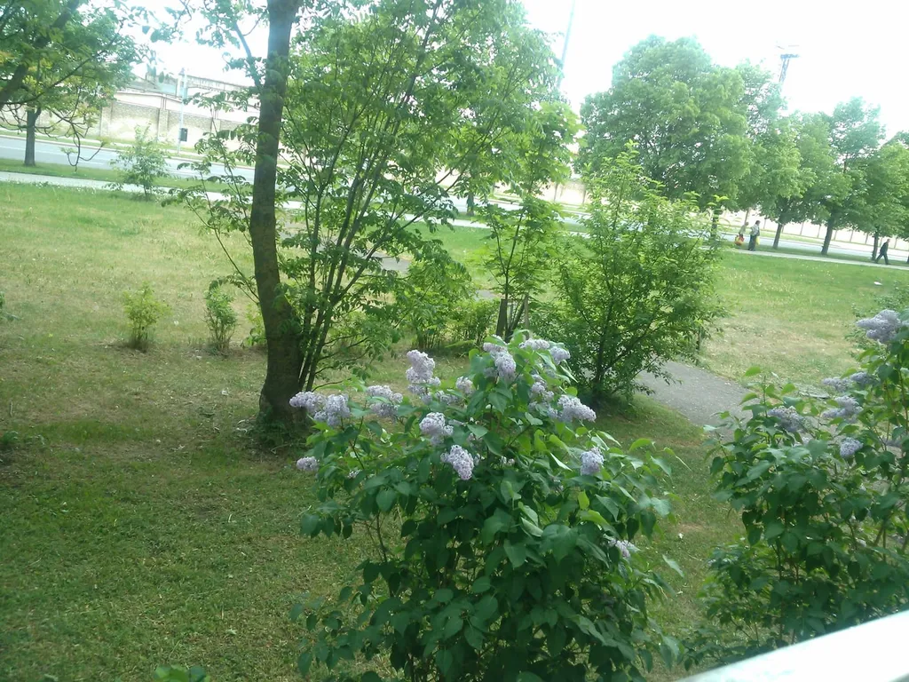 Удобная комната для 2+