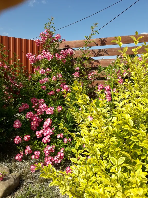 Дом в горах