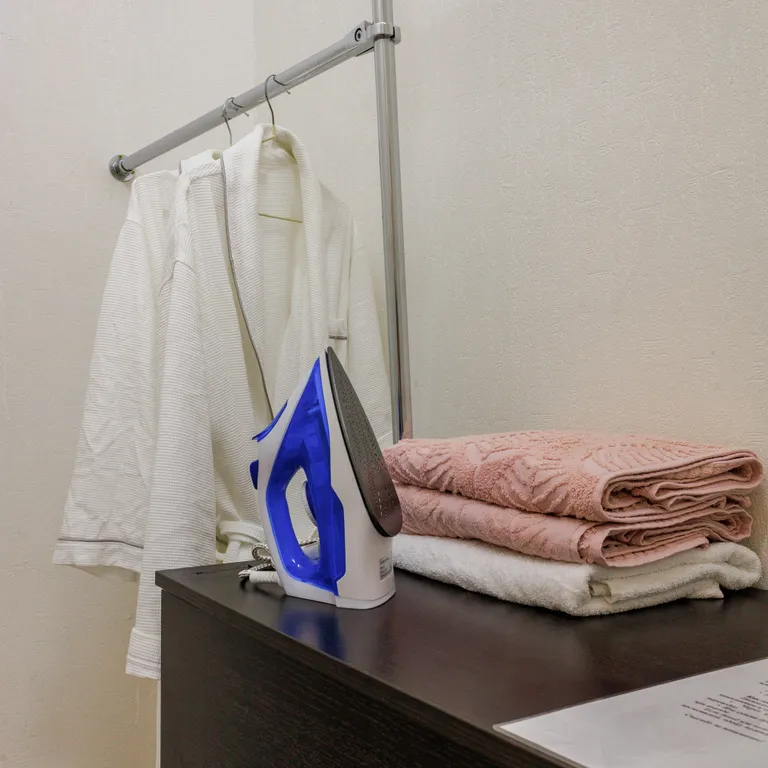 Центр города Астана Арена, Барыс Арена, Ботанический сад