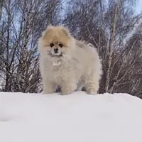Людмила