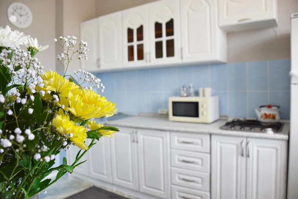 1-комнатная квартира с панорамным видом на Заилийский Алатау — комфорт