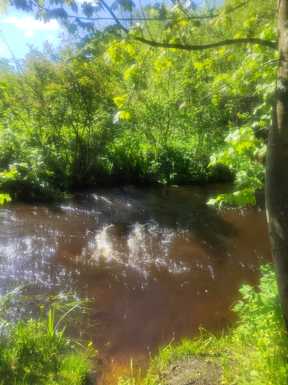 Усадьба седьмое небо банкетный зал до 16 человек с баней под полоцком