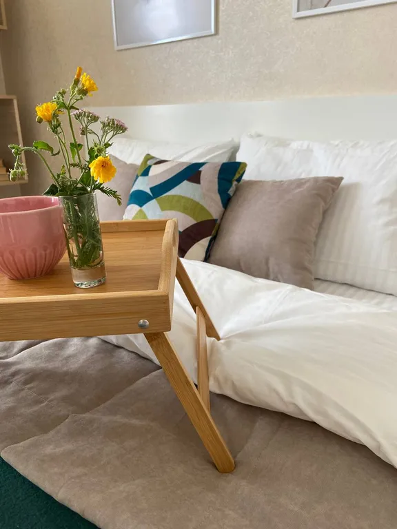 Уютная студия с видом на реку