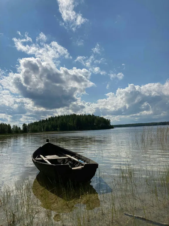 Коттедж 3-комнатный Дом — Маслозеро