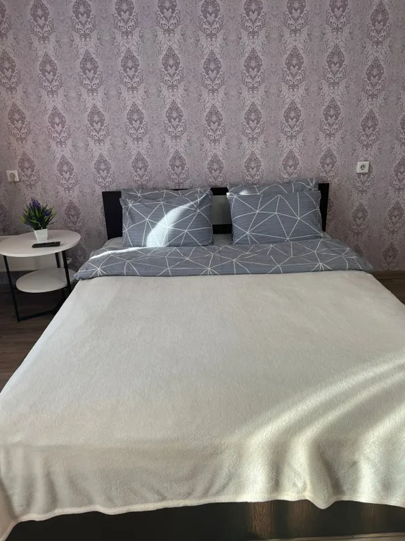 Квартира 1-комнатная большая квартира — Аша