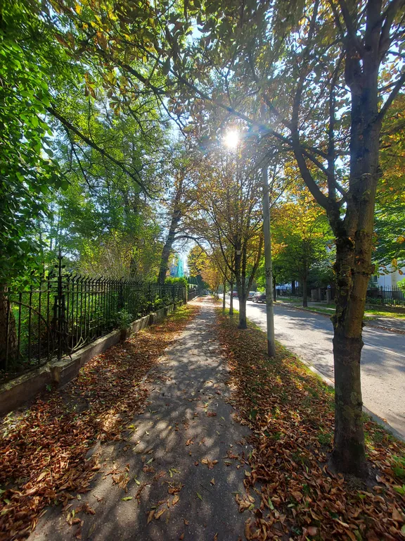 Квартира Апартаменты Белка в вилле Хайтманн — Калининград