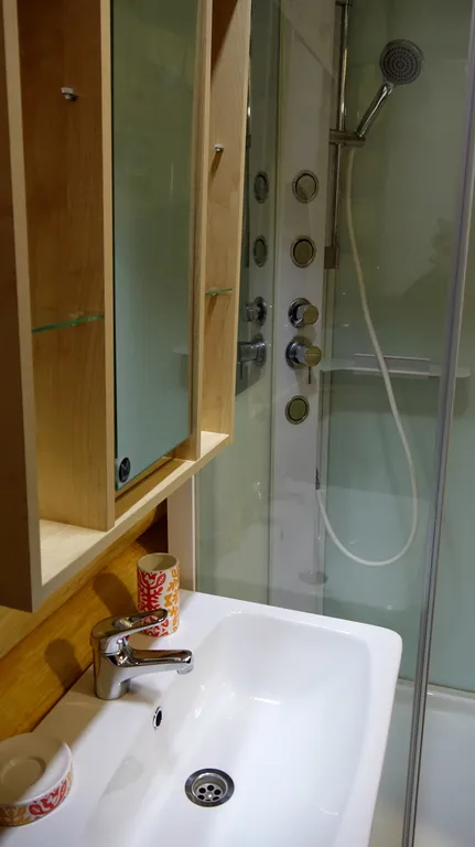 Фиалковый дом на Ладоге