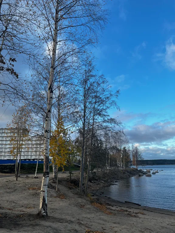 Видовые апартаменты Onego lakе