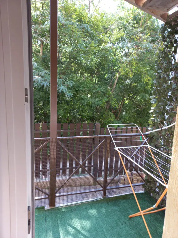 Уютные апартаменты с видом на лес