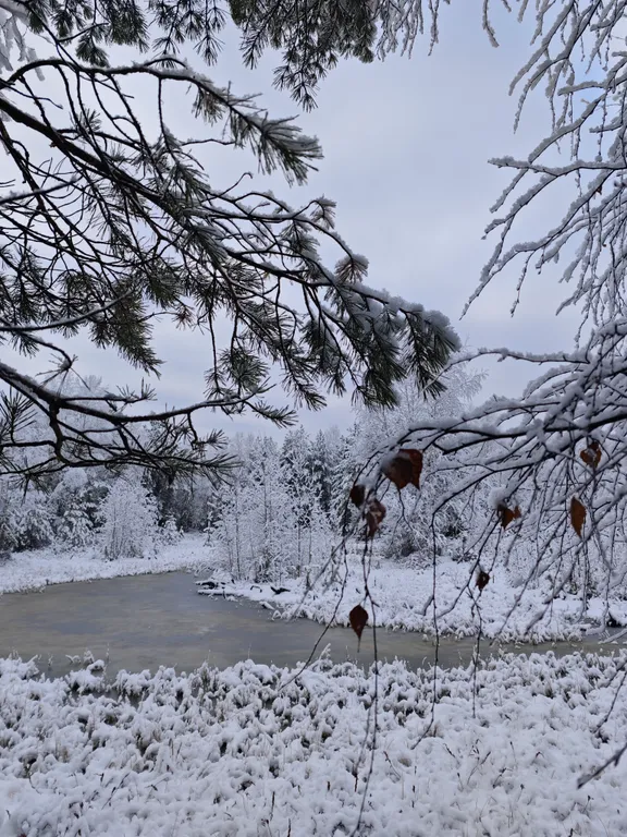Коттедж Загородный дом с видом на лес — Ситники