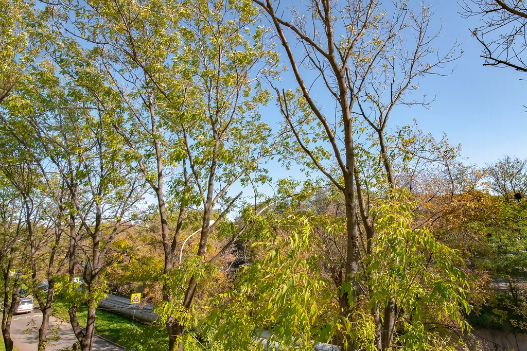 Квартира на 2 речке с кондиционером