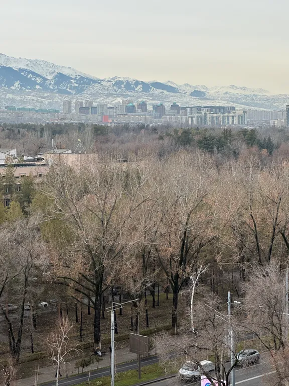 Квартира студия с видом на горы в экологически чистом районе — аренда посуточно в Алматы