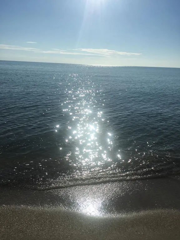 Сдается новый дом у берега моря.