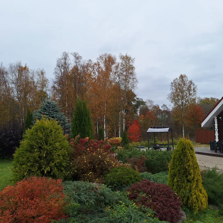 Коттедж Дом у озера — Глубокое (Каменногорское г/п)