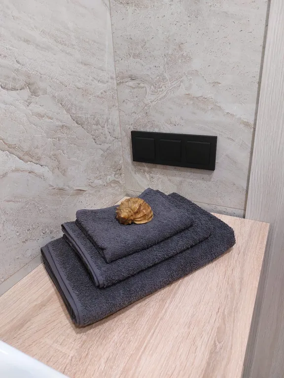 Квартира Квартира Просторная студия Bugrinskaya grove — Новосибирск