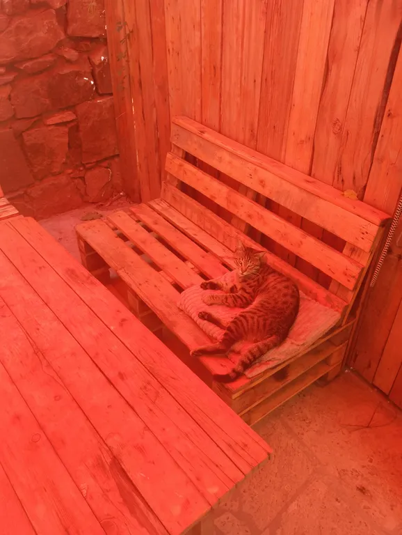 В центре Еревана с собственном двориком