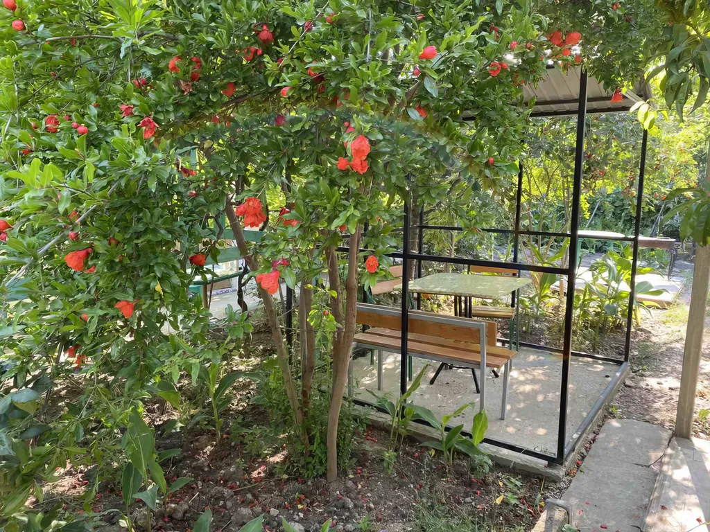 Коттедж 1-комнатный Дом — Судак