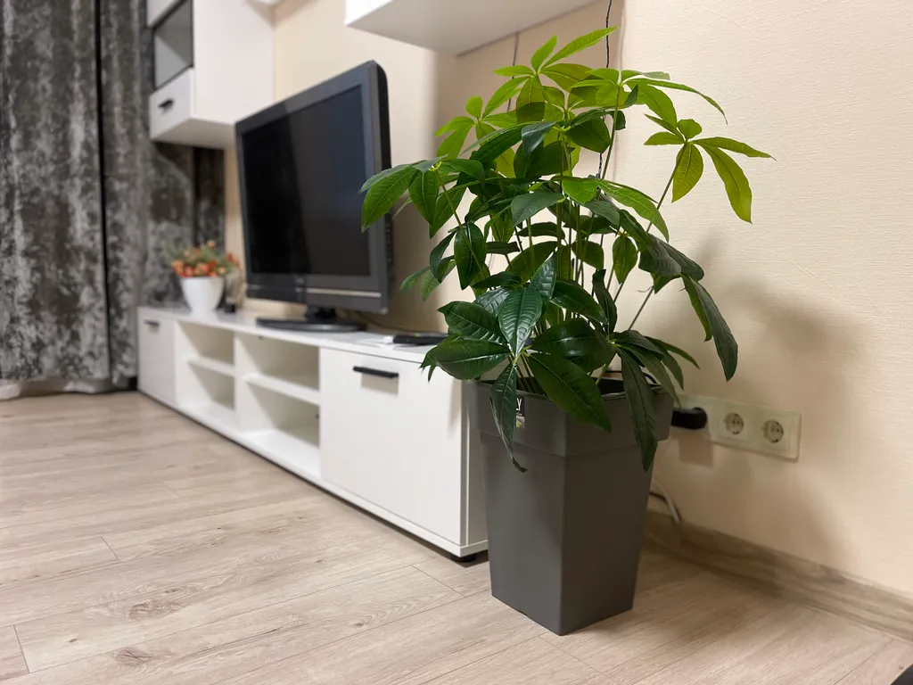Квартира Квартира Apartment GOLD в Золотом центре Минска — Минск