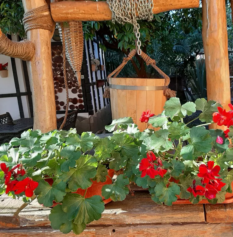 Квартира Комната — Сириус