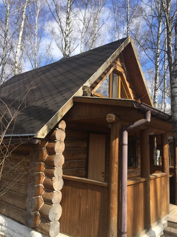 Дом с бассейном в лесу