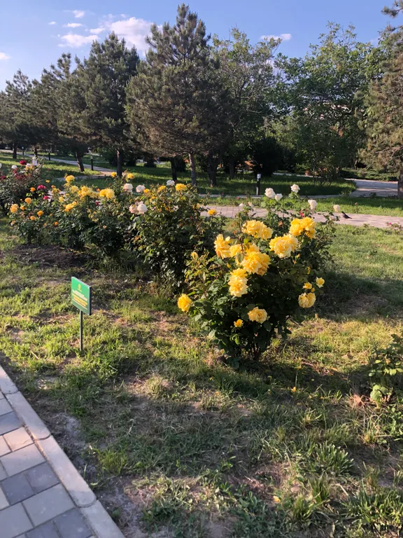 Квартира Уютная квартира рядом с морем — Анапа