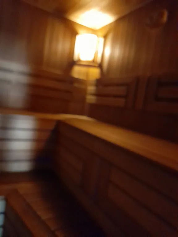 Дом с баней, бассейном и караоке