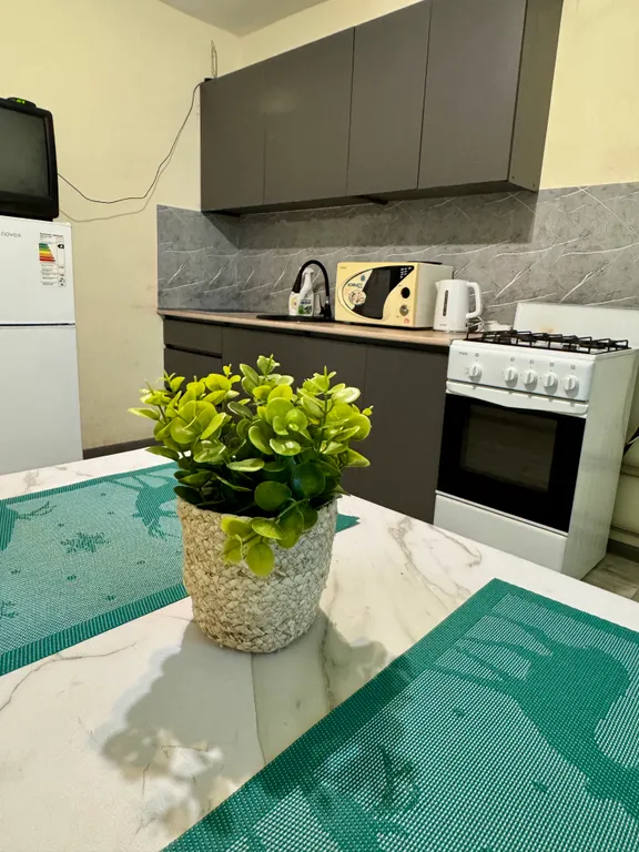 1-комнатная Квартира — аренда посуточно в Бор