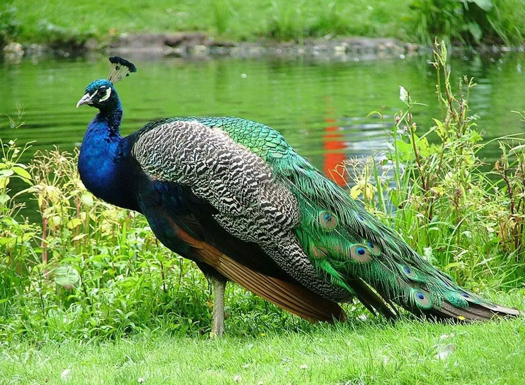 Коттедж на озере