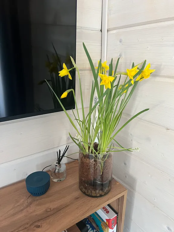 Коттедж Стильный новый коттедж — Санкт-Петербург