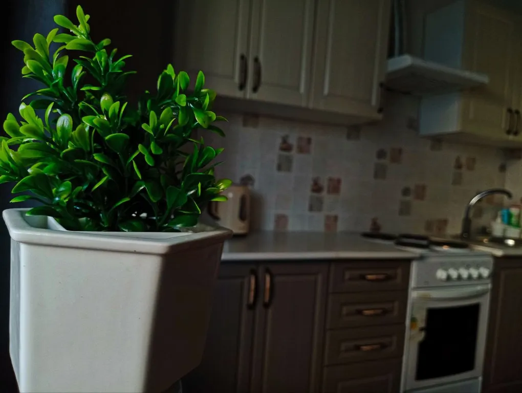 Студия в центре города