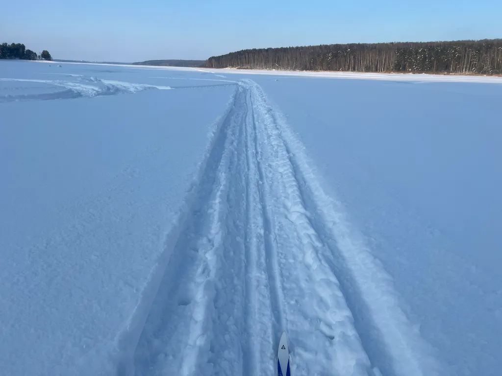 Дом 7 в лесу у реки